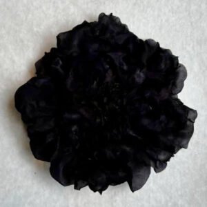 BROCHE SOIE NOIRE CAMPÊCHE